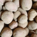 Bio-Kartoffeln mehligkochend