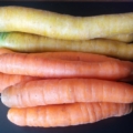 Karotten gemischt